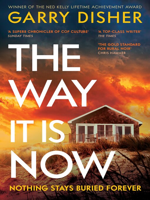 Cover image for The Way It Is Now